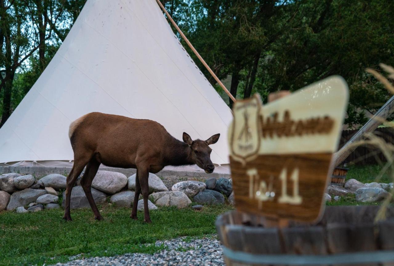 Dreamcatcher Tipi Hotel Гардинър Екстериор снимка
