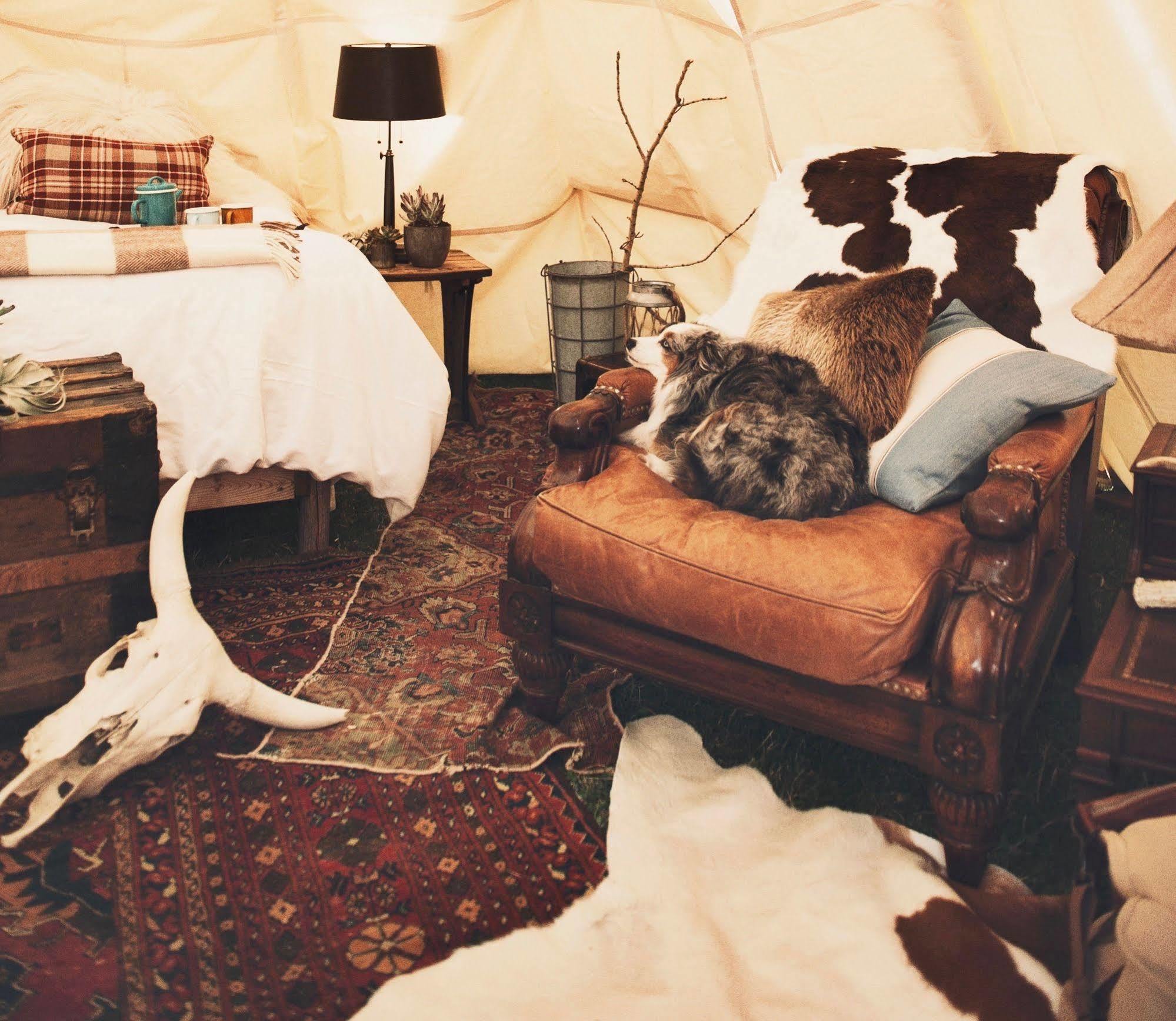 Dreamcatcher Tipi Hotel Гардинър Екстериор снимка
